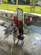 Pink princess galaxi