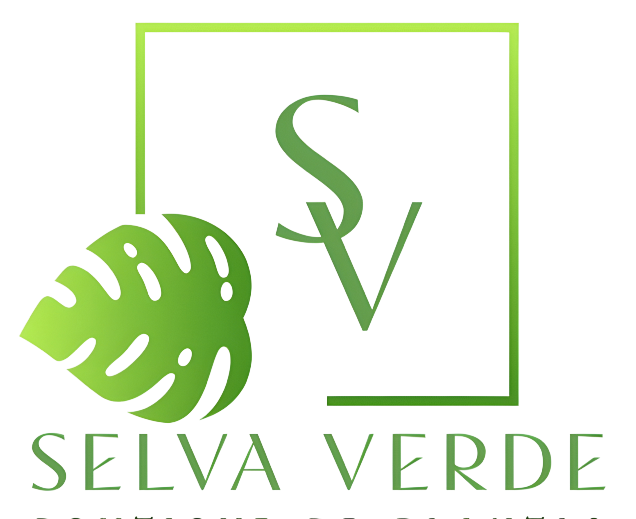 SelvaVerdemx
